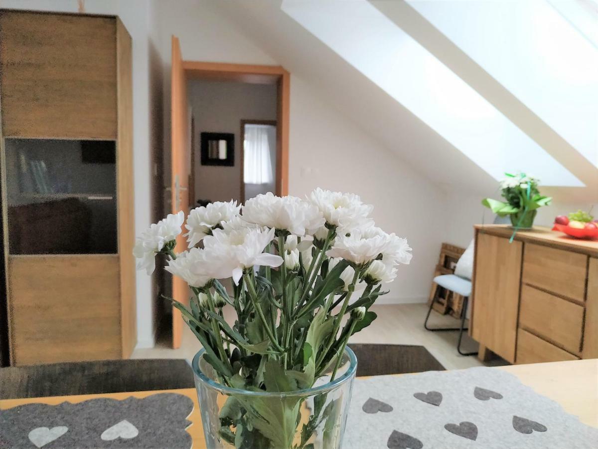 Design -garden & Comfort * Bratislava