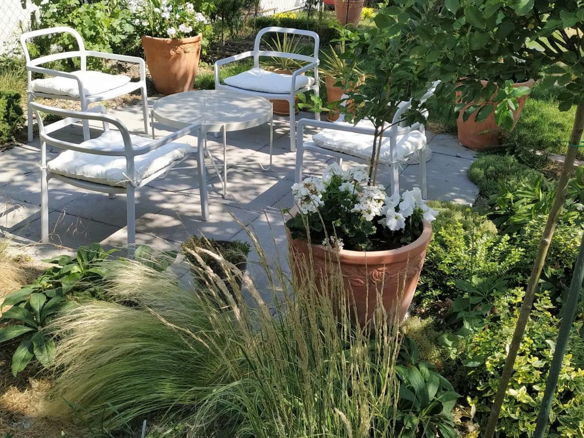 Apartment Design -garden & Comfort *