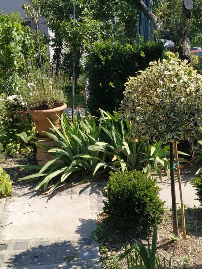 Apartment Design -garden & Comfort *